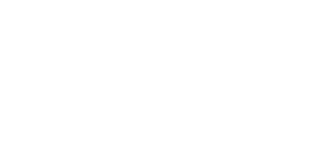 Heads and Tails logo