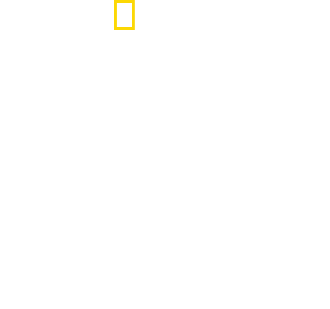 Inside the SS logo