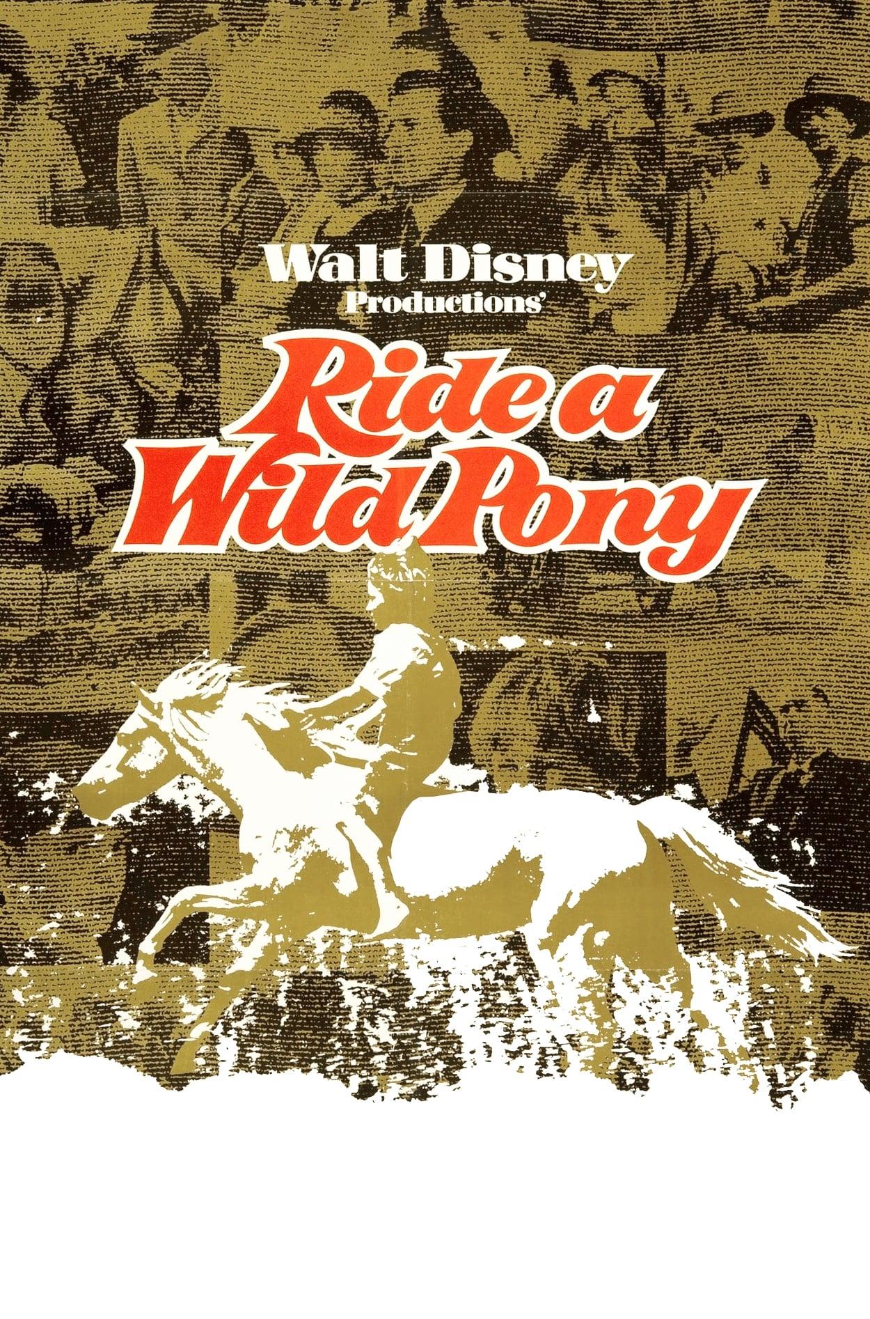 Ride a Wild Pony poster