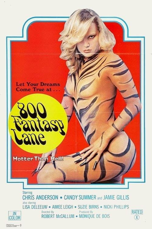 800 Fantasy Lane poster