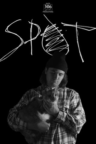 SPOT poster