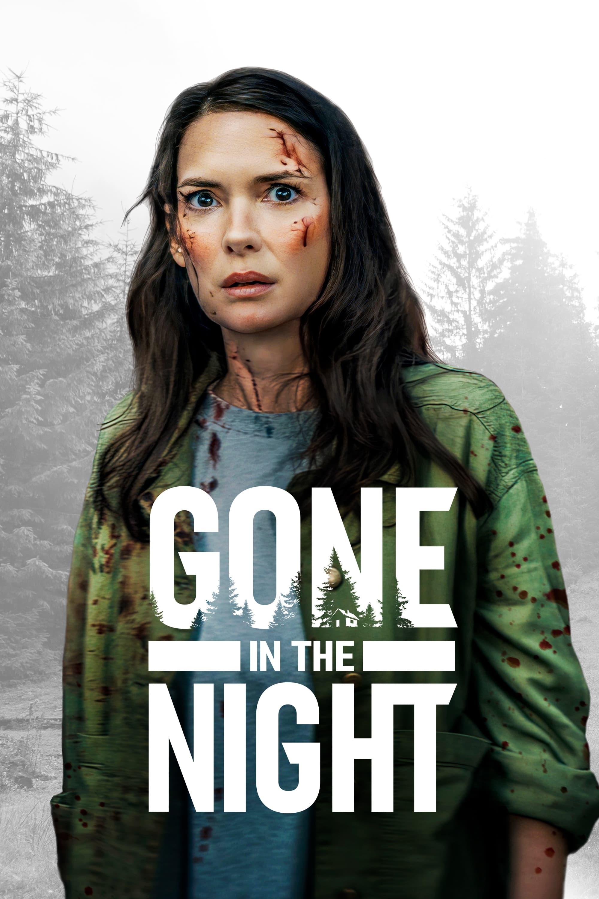 Gone in the Night poster