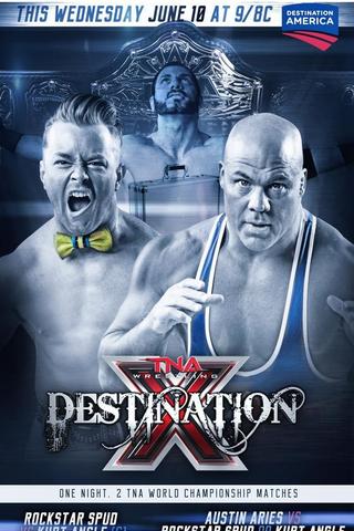 TNA Destination X 2015 poster