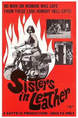 Sisters in Leather poster