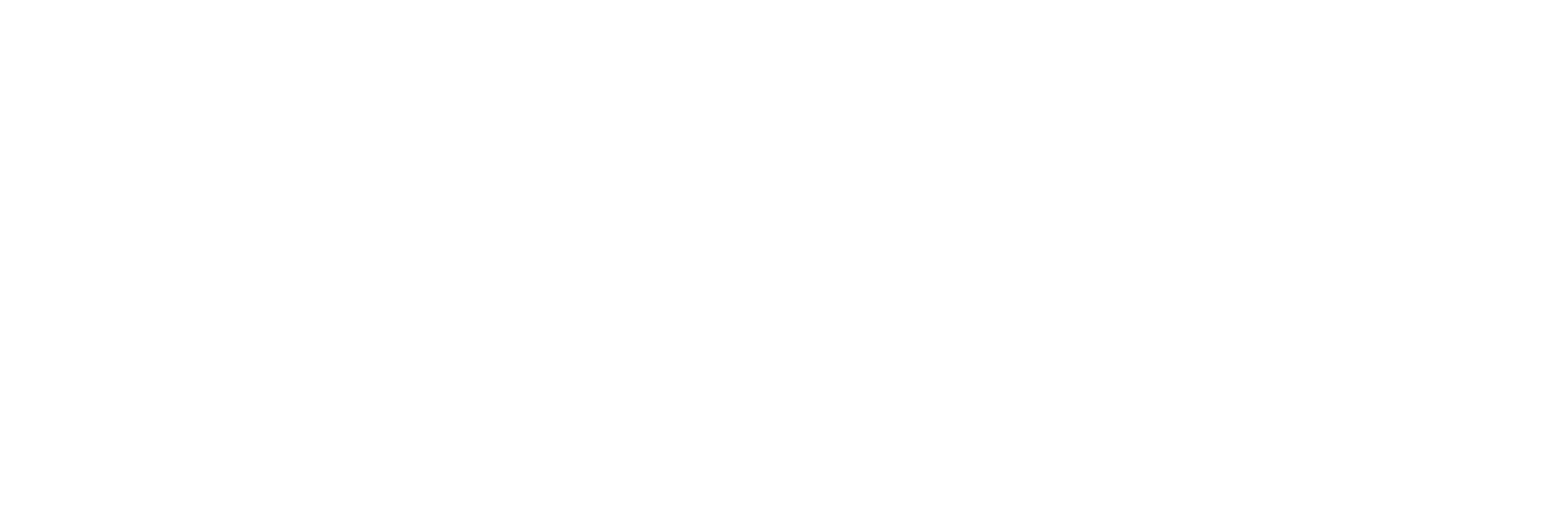 A Difficult Year logo