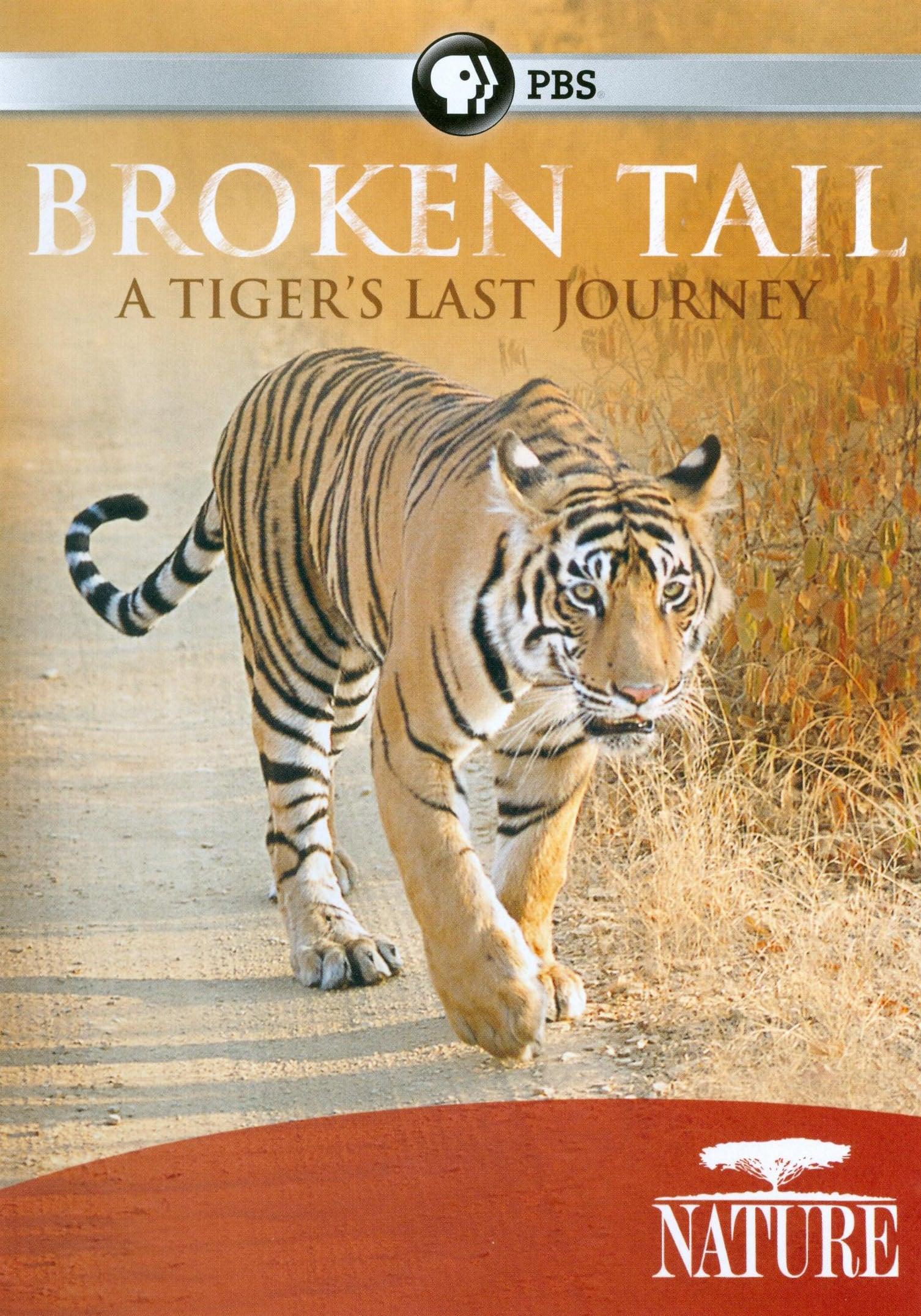Broken Tail: A Tiger's Last Journey poster