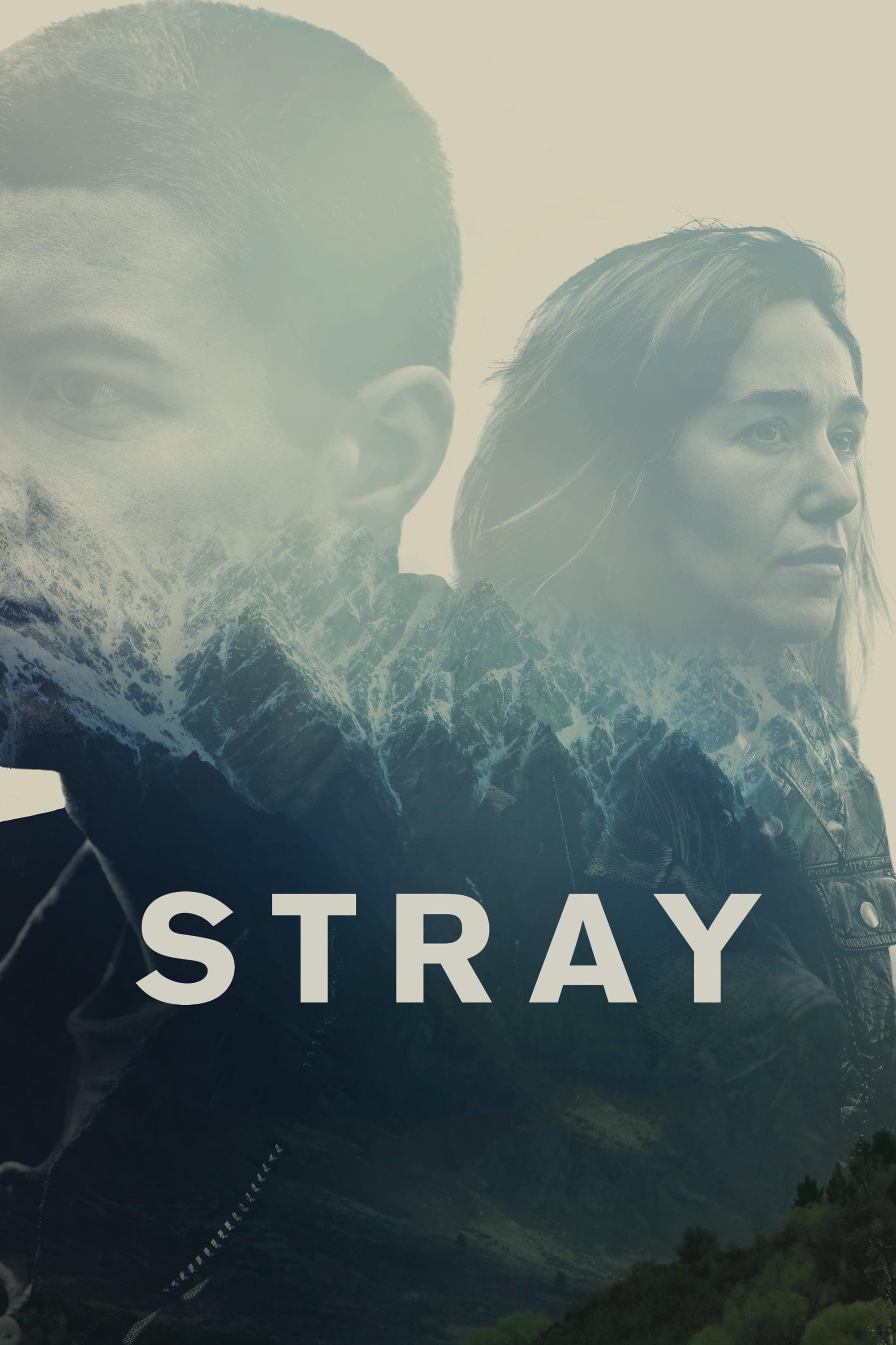 Stray poster