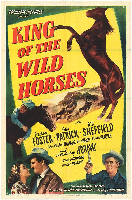 King of the Wild Horses poster