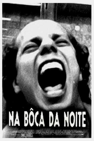 Na Boca da Noite poster