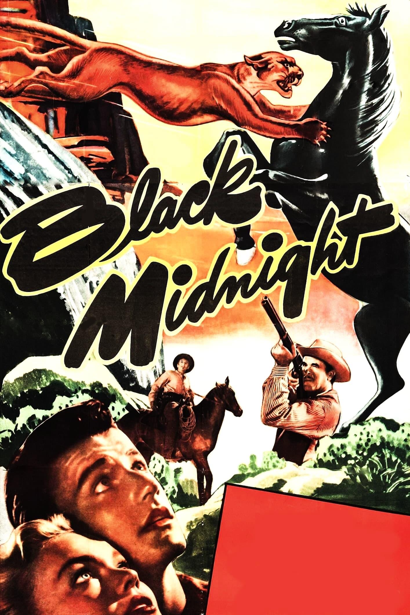 Black Midnight poster
