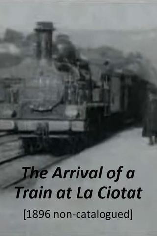 Train Pulling into a Station poster
