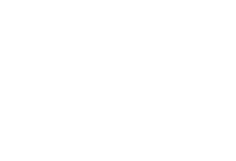 Bordertown logo