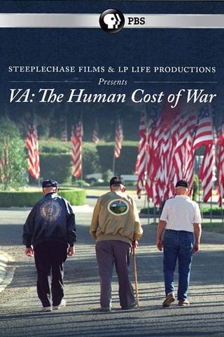 VA: The Human Cost of War poster