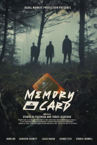 Memory Card poster