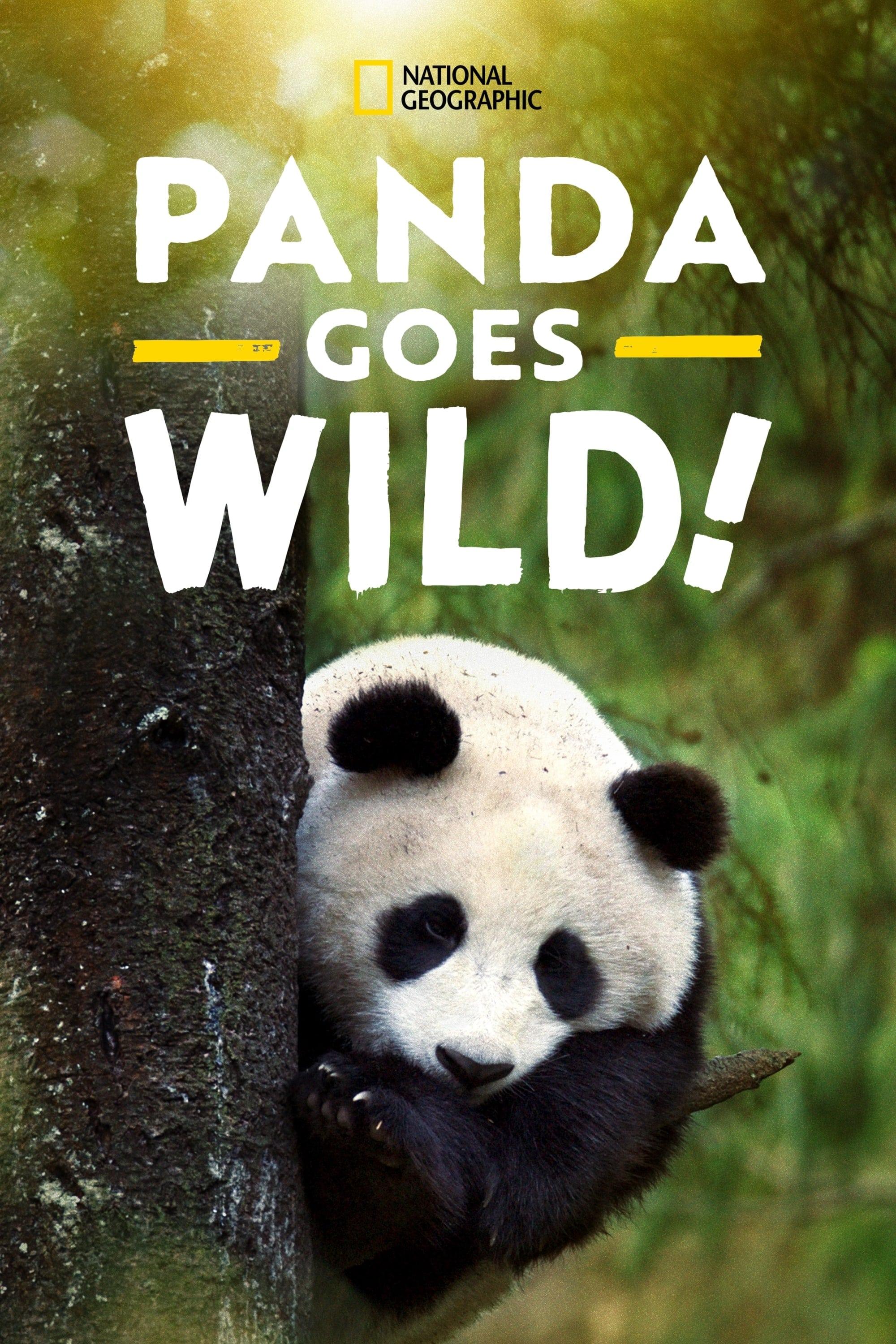 Panda Goes Wild poster