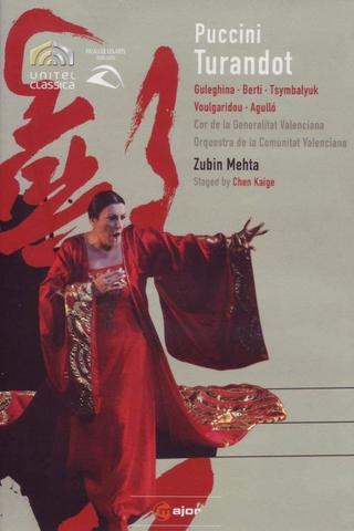 Turandot: Palau de les Arts de Valencia poster