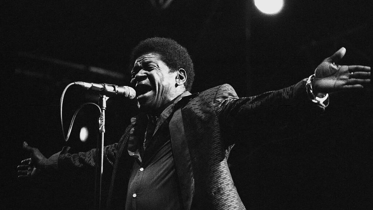 Charles Bradley : Musiques en Stock 2016 backdrop