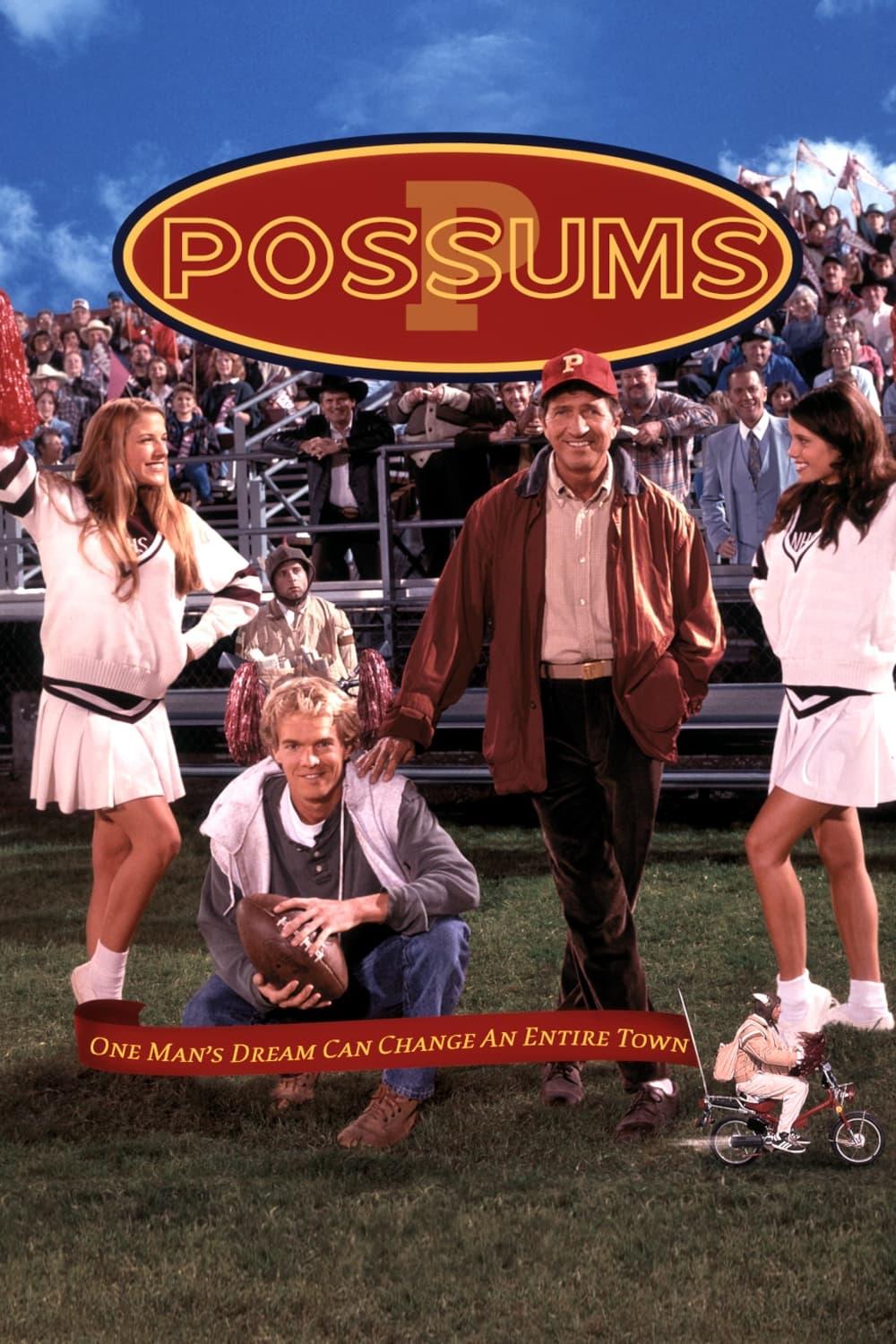 Possums poster
