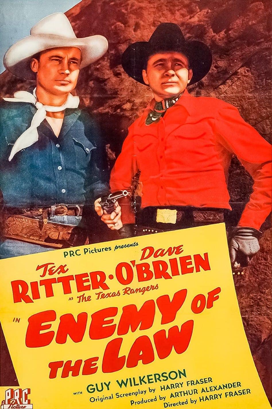 Enemy of the Law poster