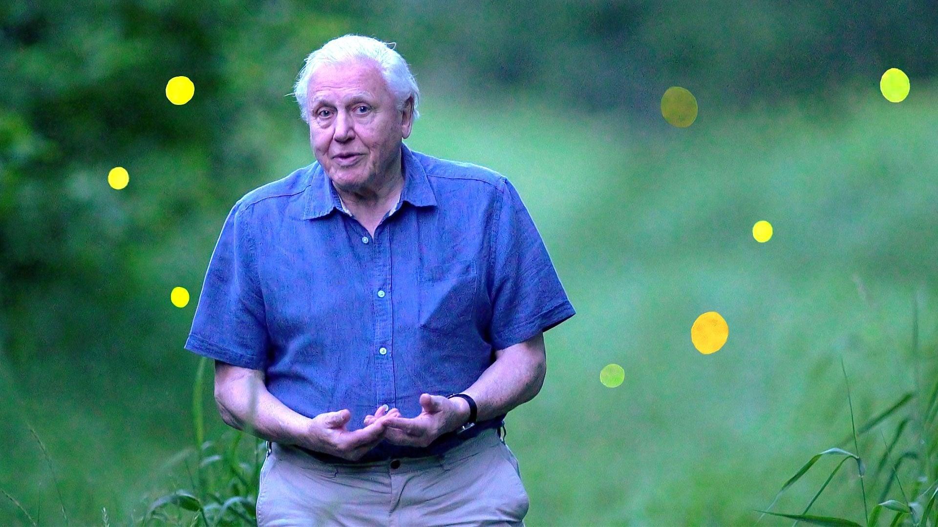 Attenborough's Life That Glows backdrop