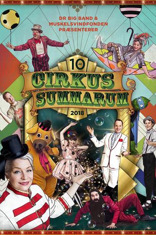 Cirkus Summarum 2018 poster
