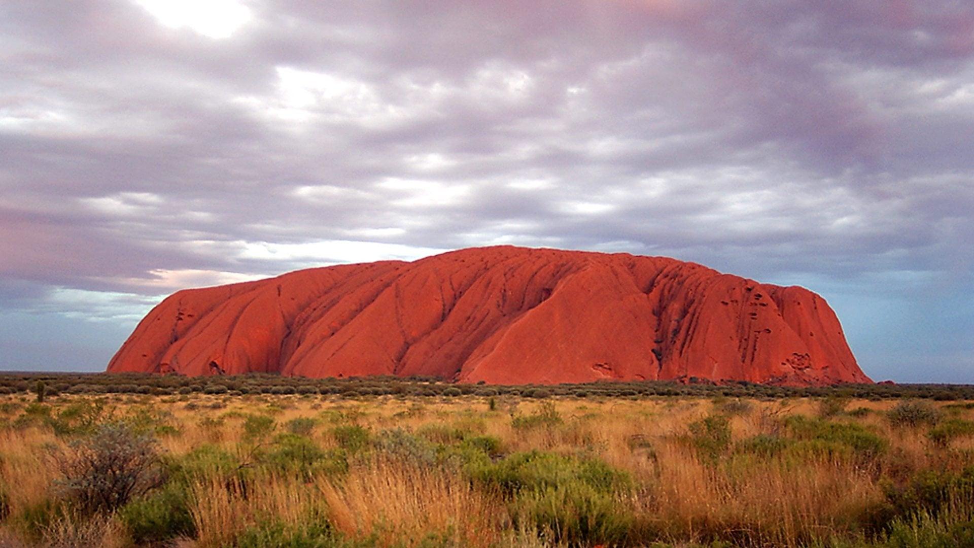 Wild Down Under backdrop