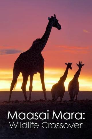 Masai Mara Wildlife Crossover poster