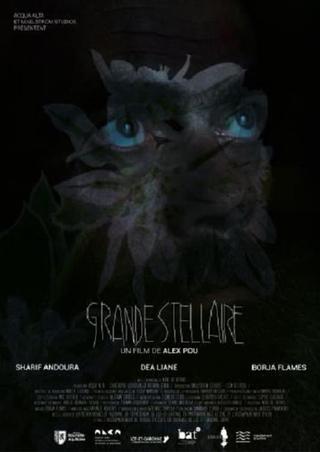 Grande Stellaire poster