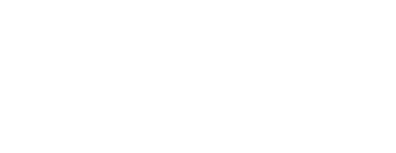 The Bullet Vanishes logo