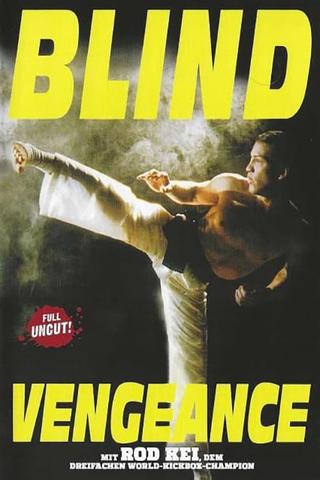 Blind Vengeance poster