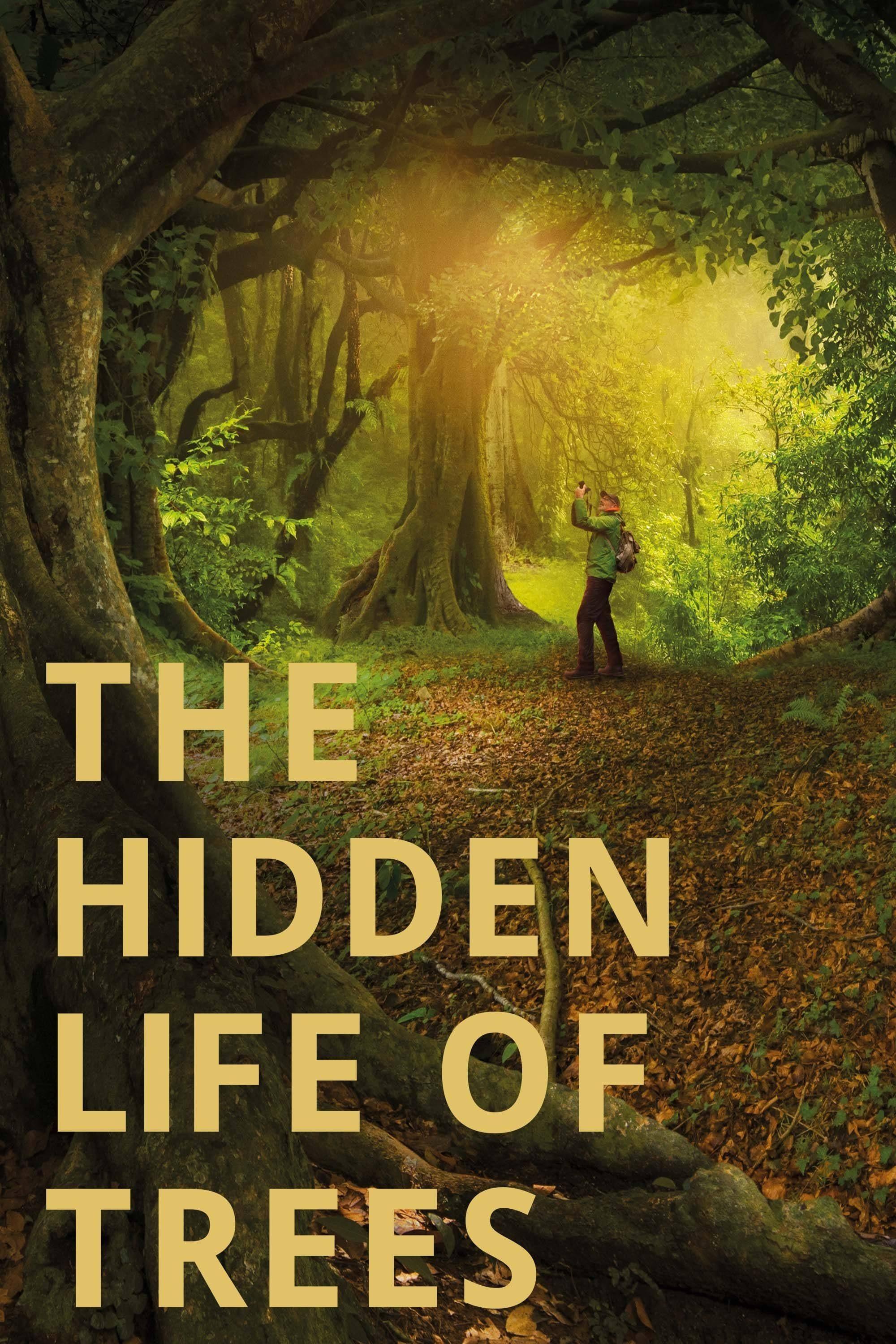 The Hidden Life of Trees poster