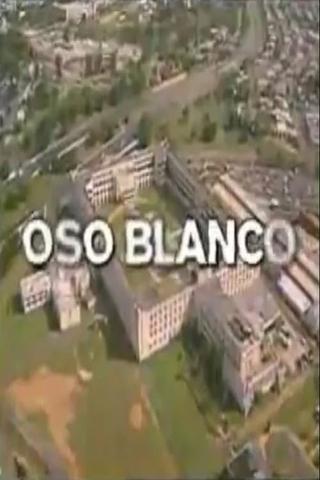 Oso Blanco poster