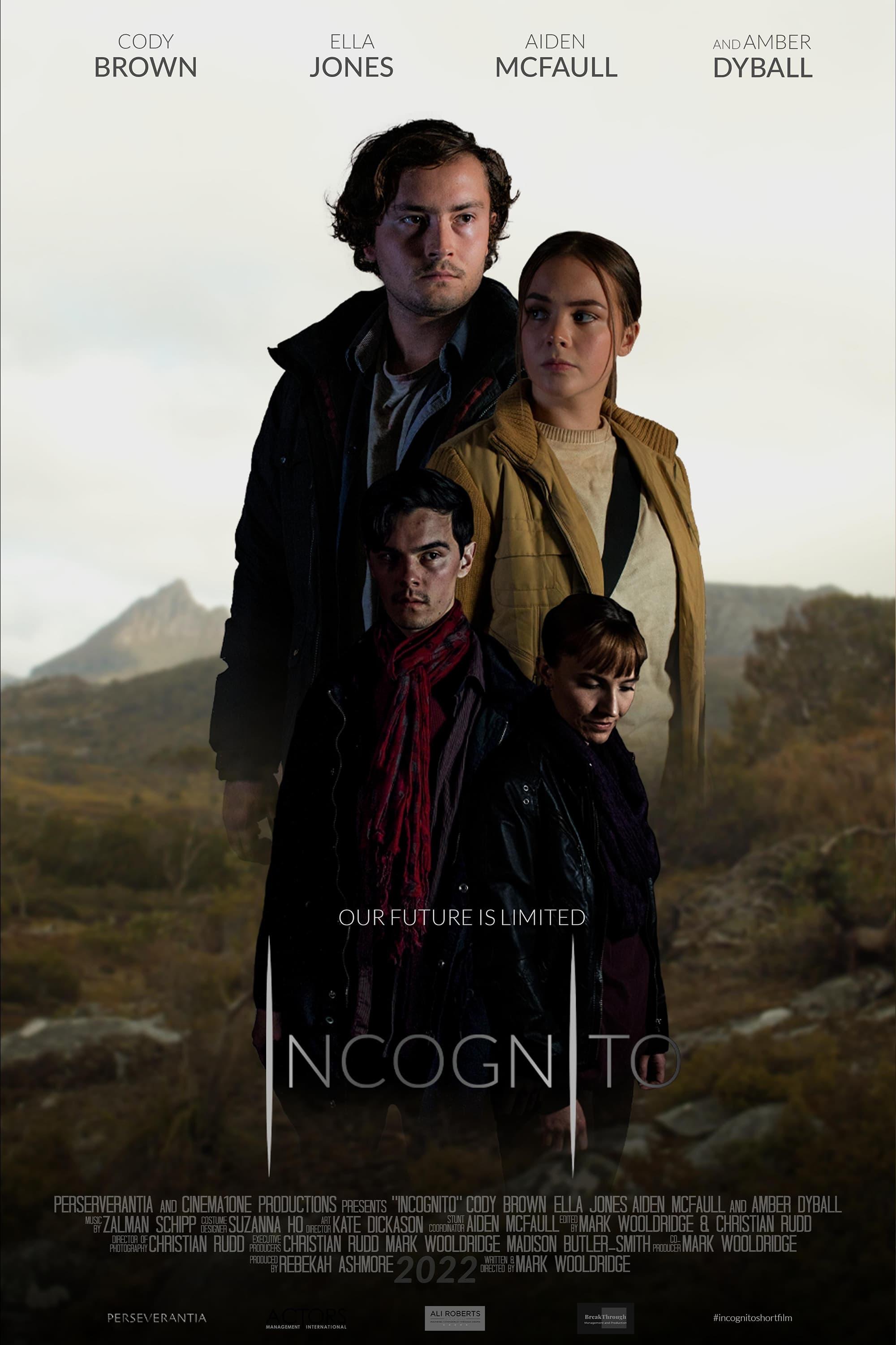 Incognito poster