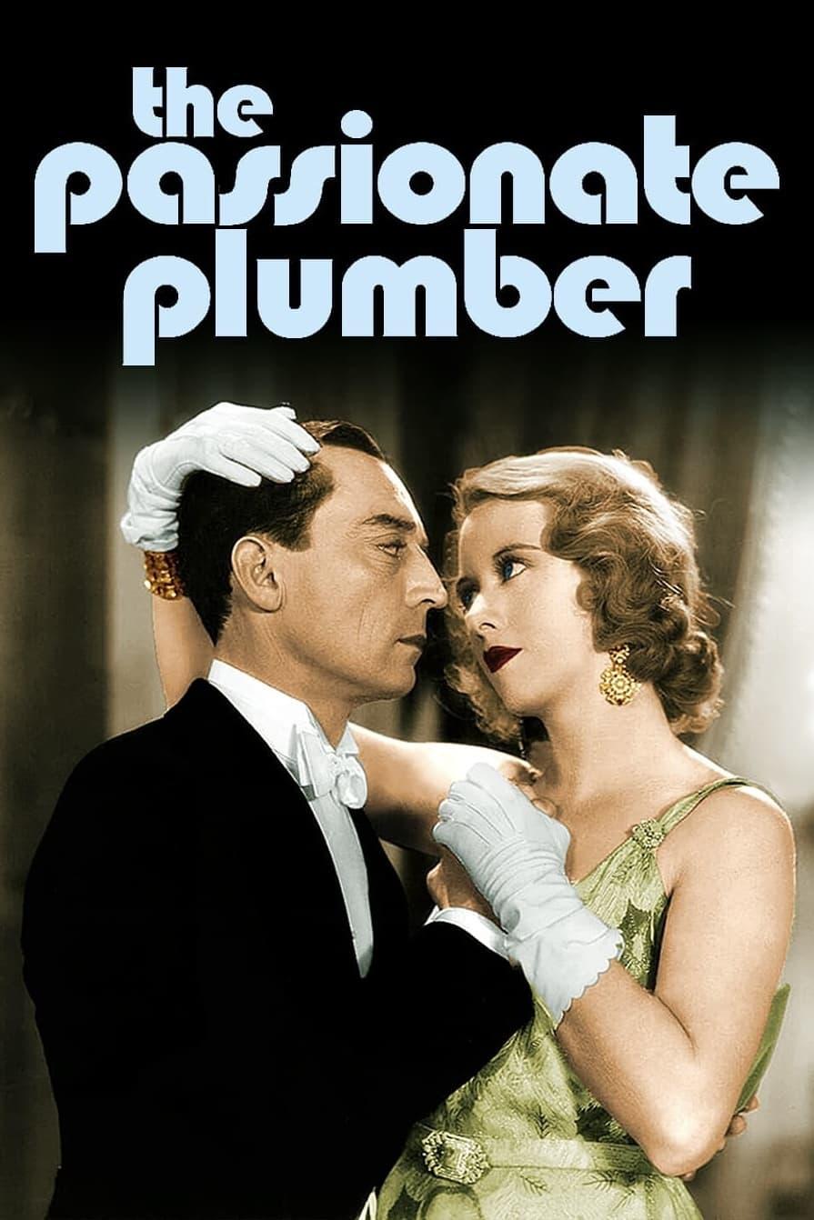 The Passionate Plumber poster