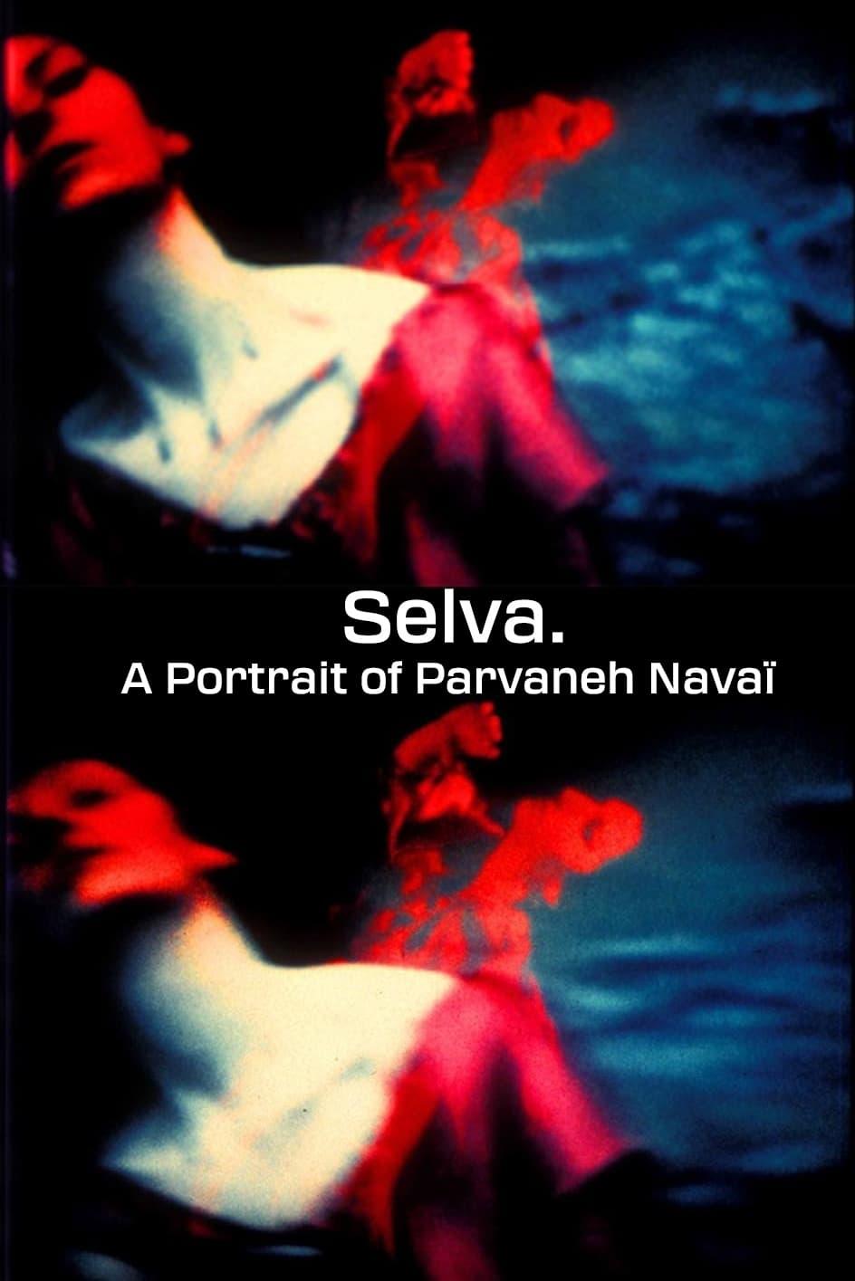 Selva. A Portrait of Parvaneh Navaï poster