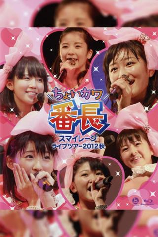 S/mileage 2012 Autumn ~Choi Kawa Banchou~ poster