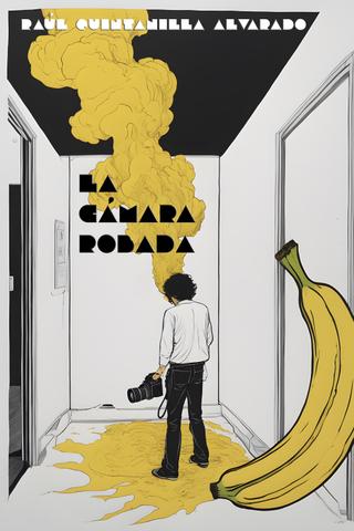 La cámara robada poster