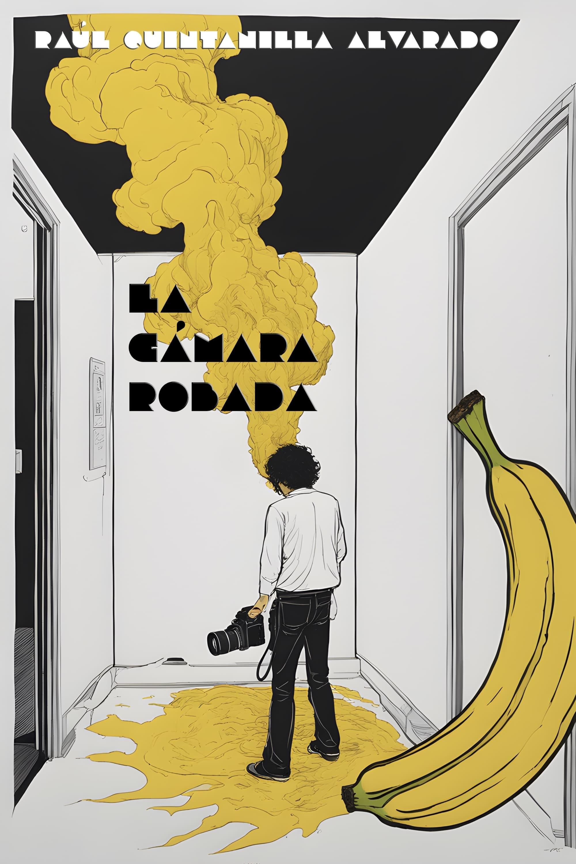 La cámara robada poster