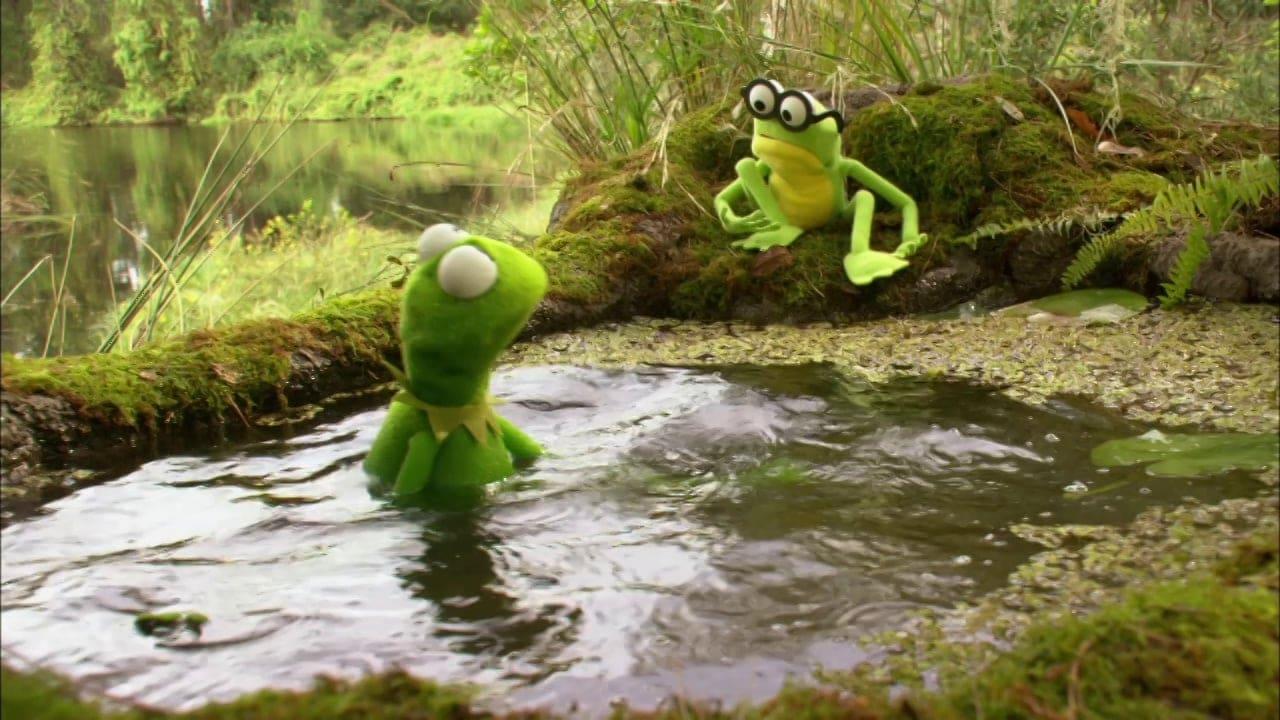 Kermit's Swamp Years backdrop