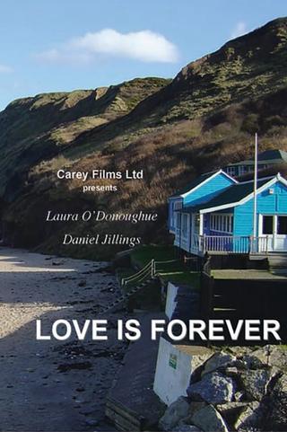 Love Is Forever poster