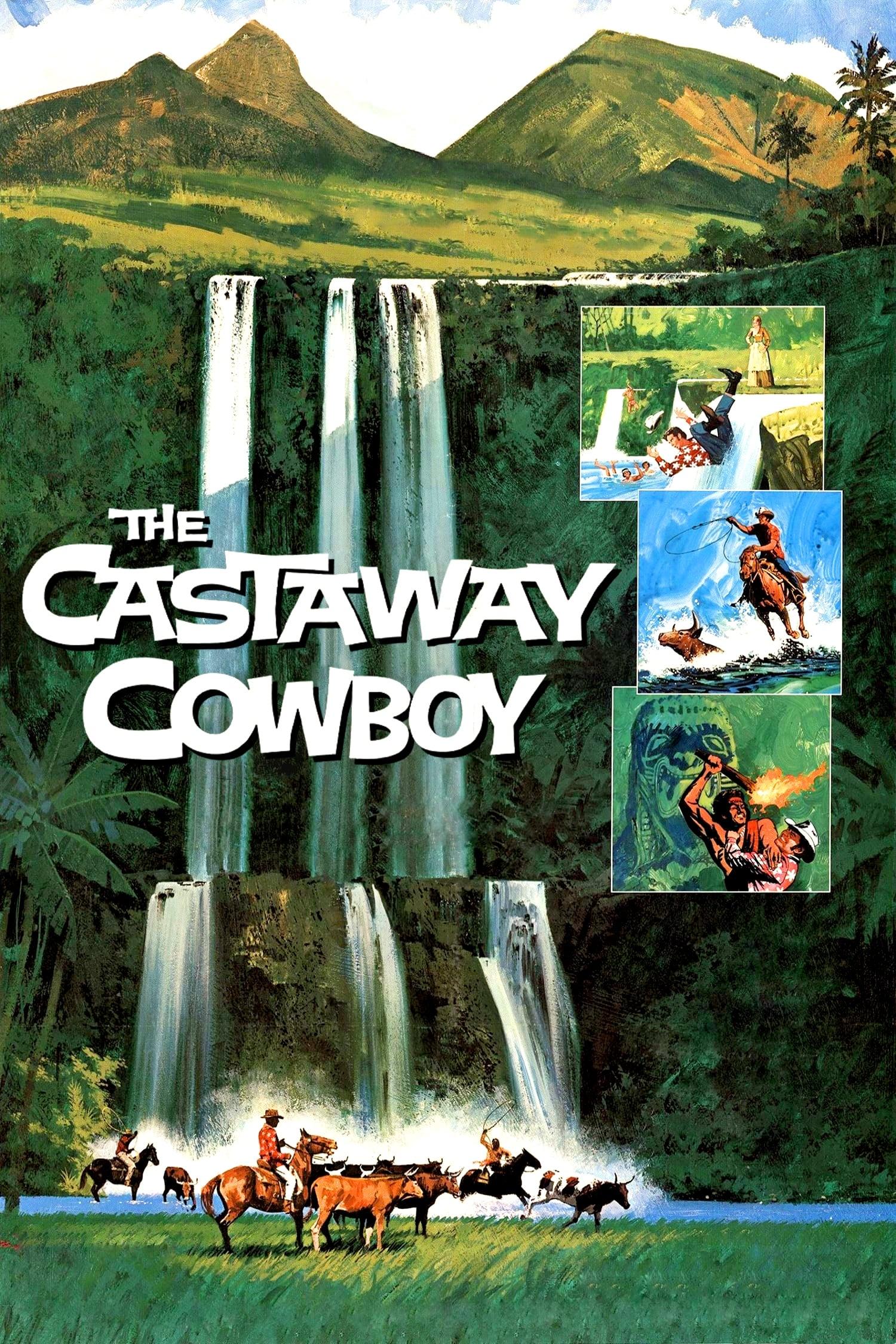 The Castaway Cowboy poster