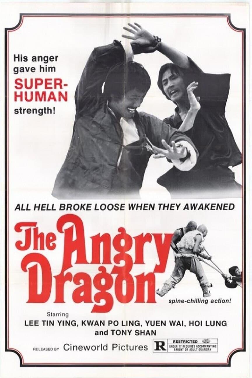 The Angry Dragon poster