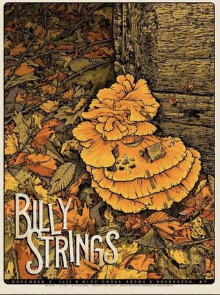 Billy Strings | 2022.11.09 — Blue Cross Arena - Rochester, NY poster