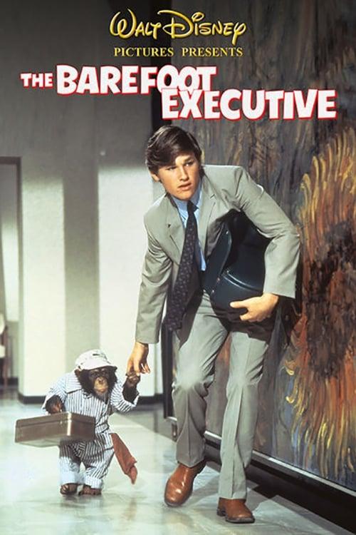 The Barefoot Executive poster