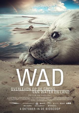 Wad: surviving on the border of water and land poster