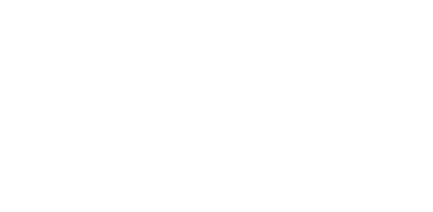 New Life Begins logo
