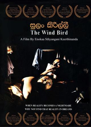 The Wind Birds poster