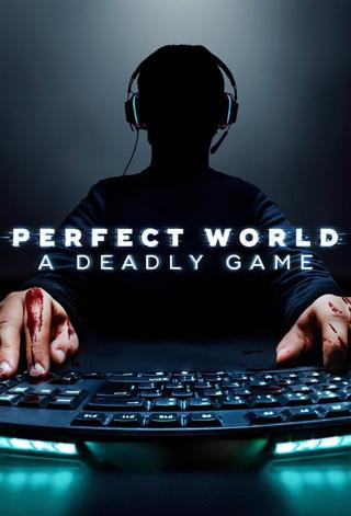 Perfect World: A Deadly Game poster