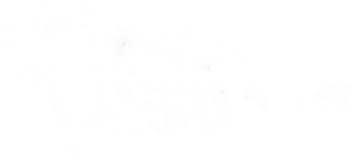 The Donna Reed Show logo