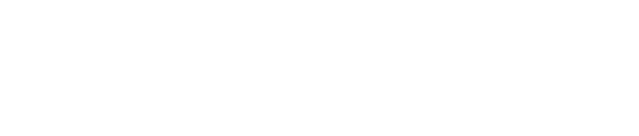 The B-Side: Elsa Dorfman's Portrait Photography logo